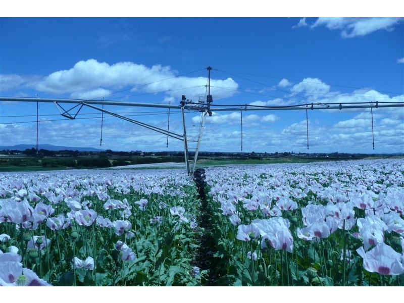 258 Point Road, Longford TAS 7301