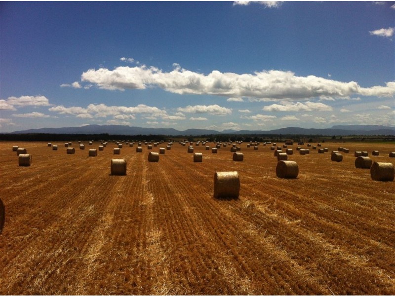 258 Point Road, Longford TAS 7301