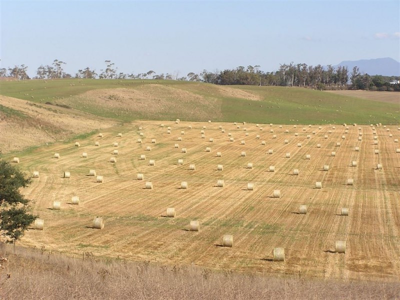 258 Point Road, Longford TAS 7301