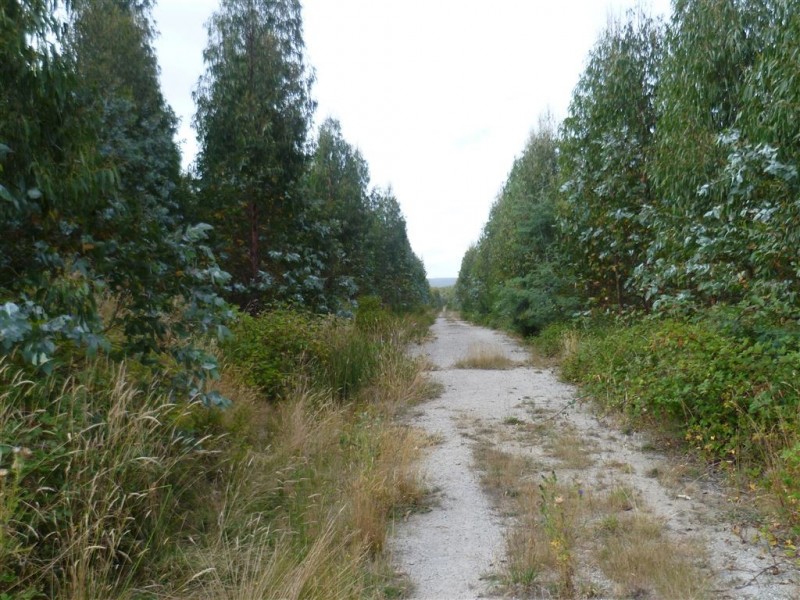 239 Auburn Road, Beaconsfield TAS 7270