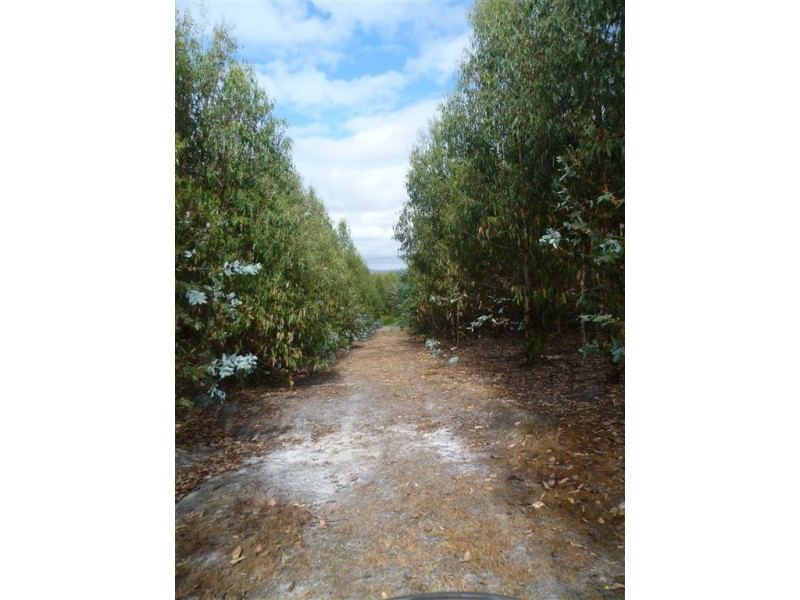 239 Auburn Road, Beaconsfield TAS 7270