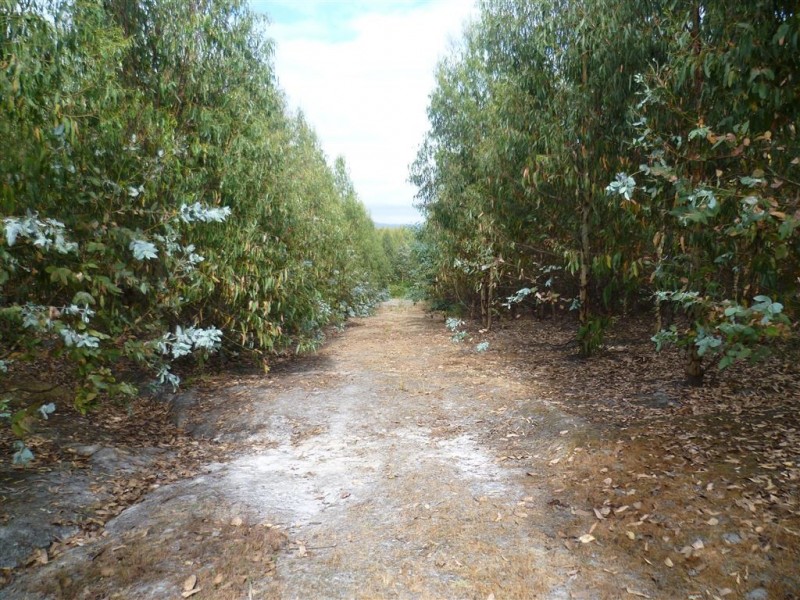 239 Auburn Road, Beaconsfield TAS 7270