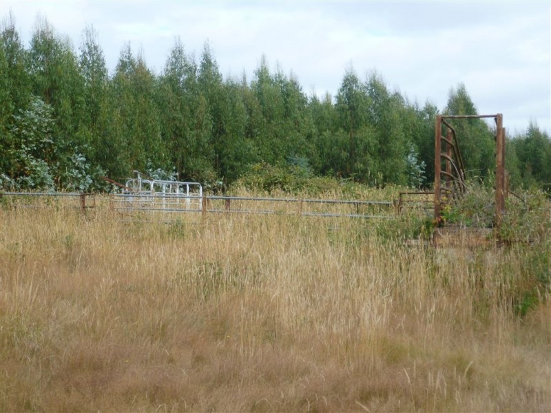 239 Auburn Road, Beaconsfield TAS 7270