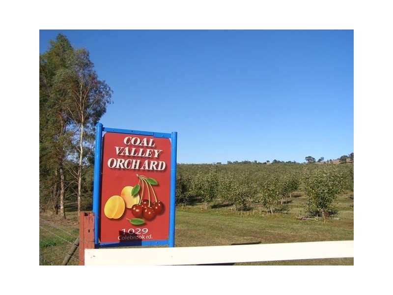 1029 Colebrook Road, Campania TAS 7026