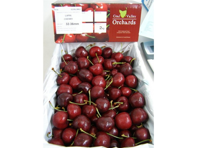 1029 Colebrook Road, Campania TAS 7026