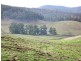1 Littles Road, Cygnet TAS 7112