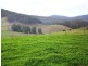 1 Littles Road, Cygnet TAS 7112
