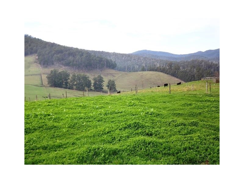 1 Littles Road, Cygnet TAS 7112