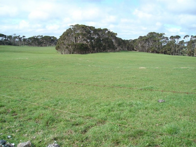 27002 Bass Highway, Redpa TAS 7330