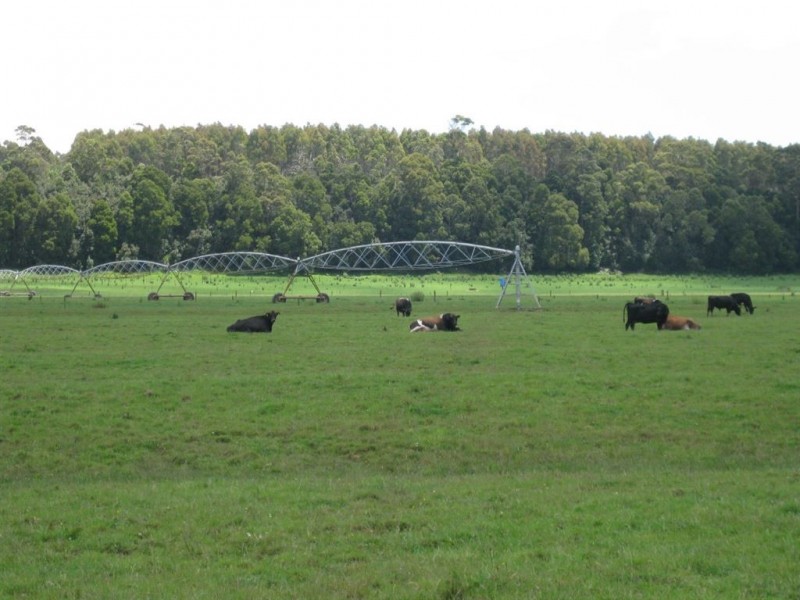 24610 Bass Highway, Brittons Swamp TAS 7330