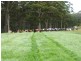 100 Williams Road, Scopus TAS 7330