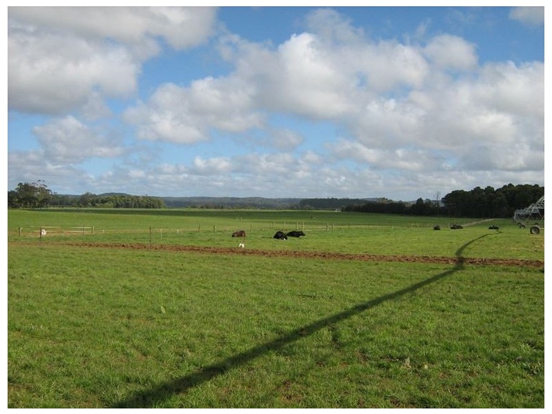 1432 Trowutta Road, Smithton TAS 7330