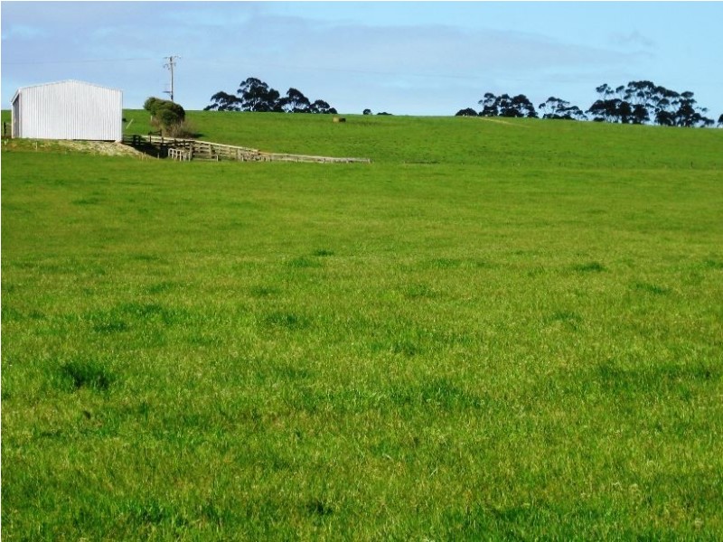 132 Maguires Road, Nabageena TAS 7330