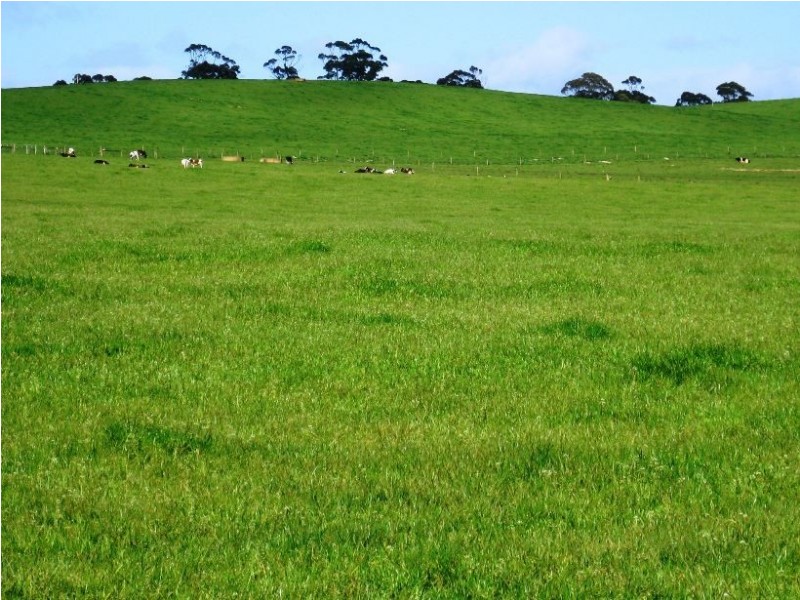 132 Maguires Road, Nabageena TAS 7330