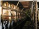 100 Park Road, Togari TAS 7330