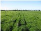 100 Park Road, Togari TAS 7330