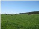 100 Park Road, Togari TAS 7330