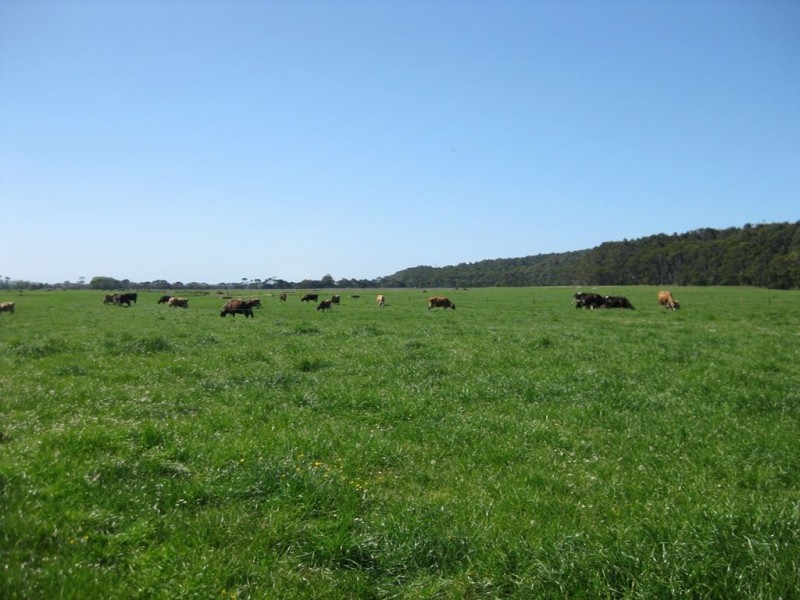 100 Park Road, Togari TAS 7330