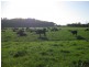 100 Park Road, Togari TAS 7330