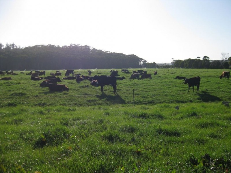 100 Park Road, Togari TAS 7330