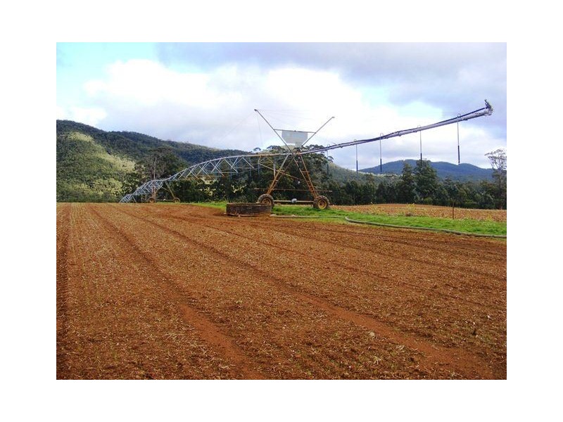 111 Allens Road, Sisters Creek TAS 7325