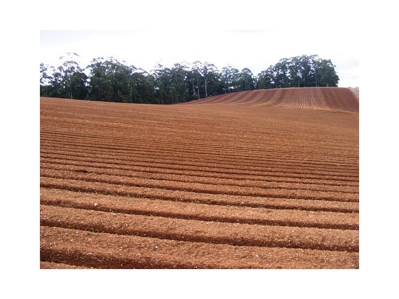 111 Allens Road, Sisters Creek TAS 7325