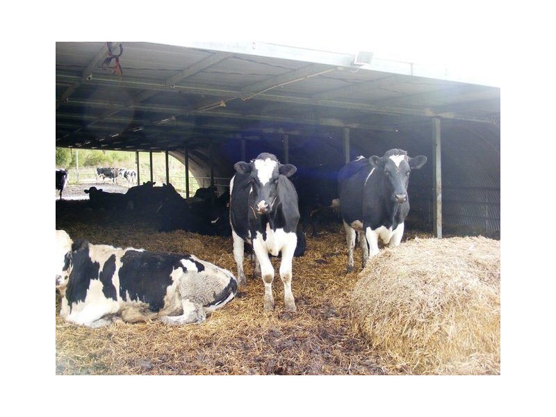 111 Allens Road, Sisters Creek TAS 7325