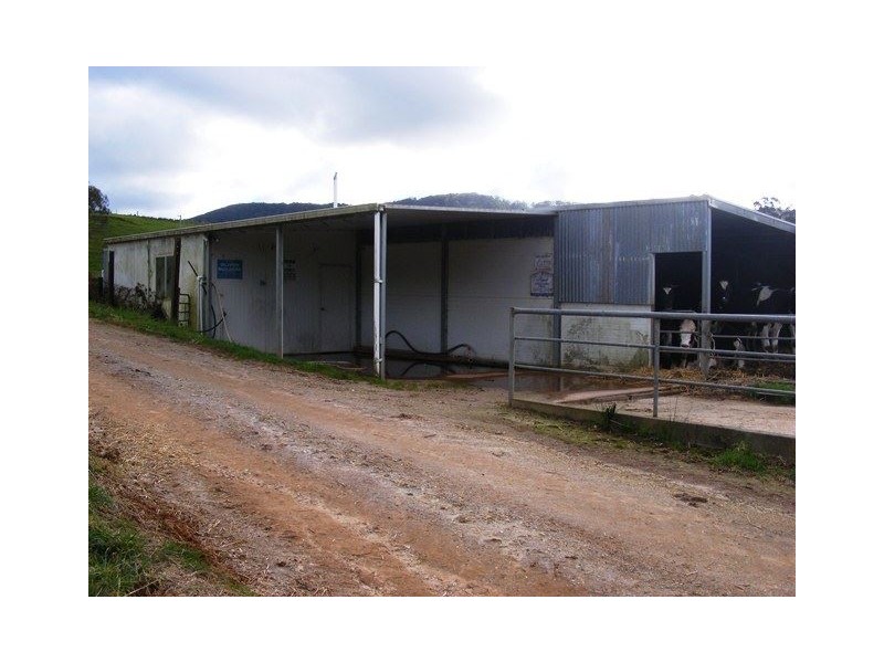 111 Allens Road, Sisters Creek TAS 7325