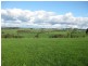 1161 Mount Hicks Road, Mount Hicks TAS 7325
