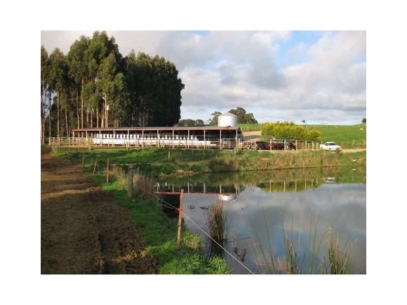 1161 Mount Hicks Road, Mount Hicks TAS 7325