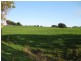1161 Mount Hicks Road, Mount Hicks TAS 7325