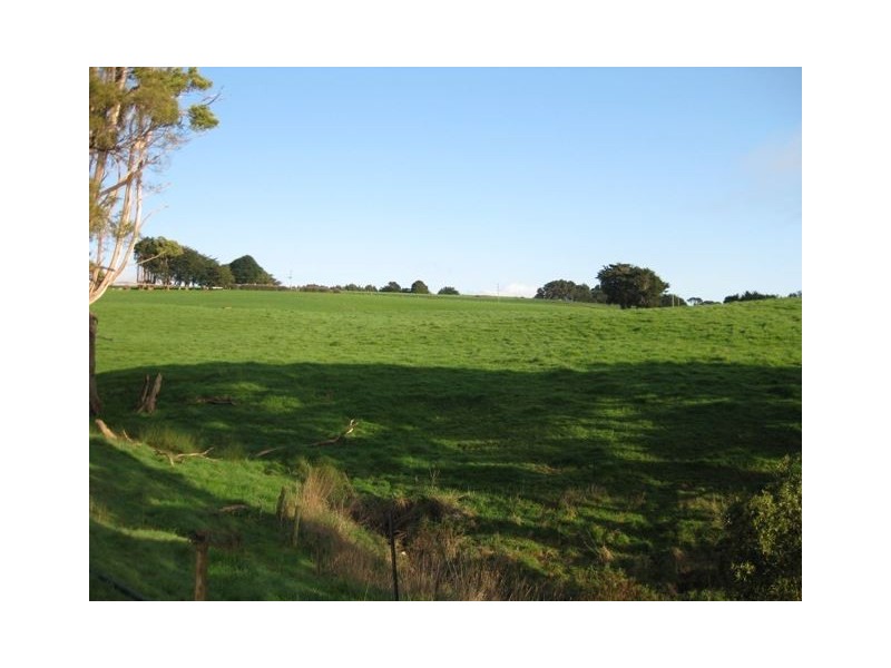 1161 Mount Hicks Road, Mount Hicks TAS 7325