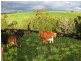 1161 Mount Hicks Road, Mount Hicks TAS 7325
