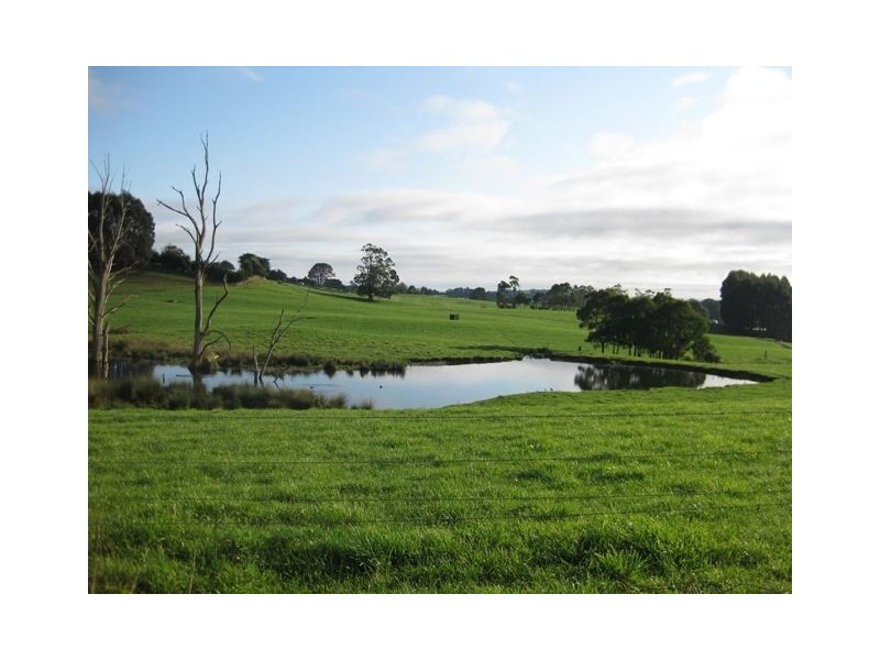 1161 Mount Hicks Road, Mount Hicks TAS 7325