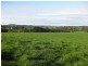 1161 Mount Hicks Road, Mount Hicks TAS 7325
