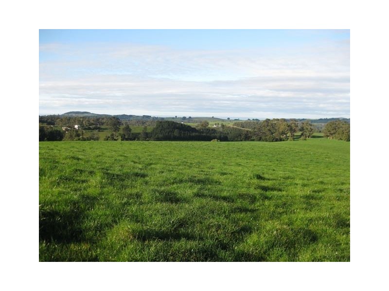 1161 Mount Hicks Road, Mount Hicks TAS 7325