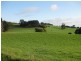 1161 Mount Hicks Road, Mount Hicks TAS 7325