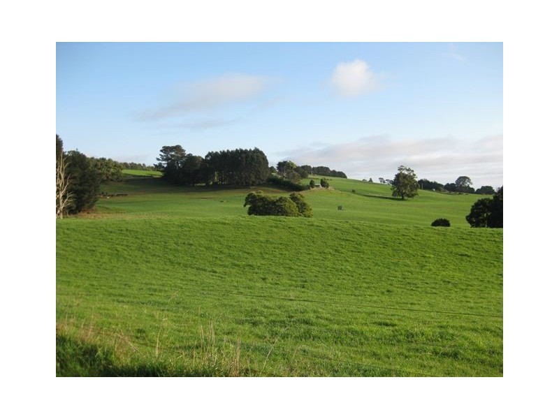 1161 Mount Hicks Road, Mount Hicks TAS 7325