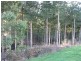 1161 Mount Hicks Road, Mount Hicks TAS 7325