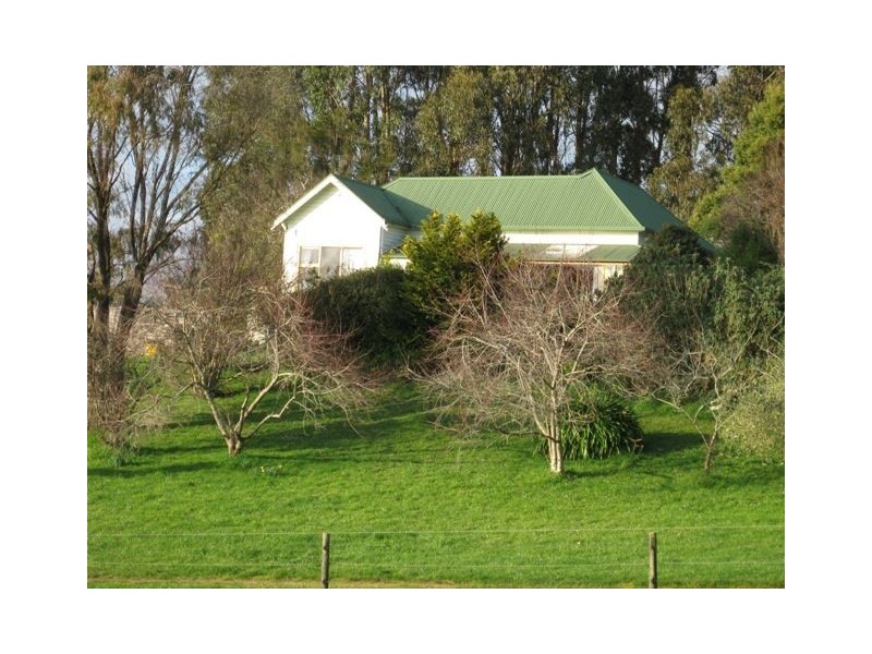 1161 Mount Hicks Road, Mount Hicks TAS 7325