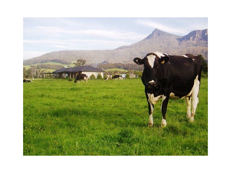 1037 Dairy Plains Road, Western Creek TAS 7304