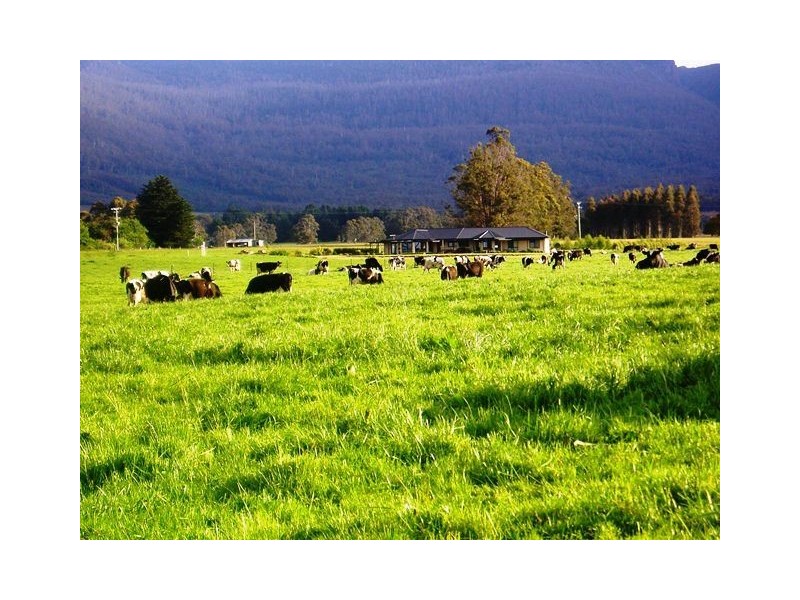 1037 Dairy Plains Road, Western Creek TAS 7304