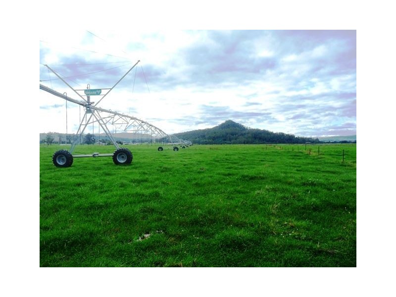 1037 Dairy Plains Road, Western Creek TAS 7304