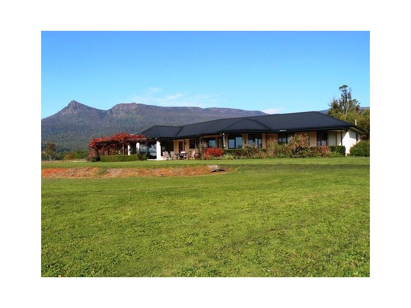 1037 Dairy Plains Road, Western Creek TAS 7304