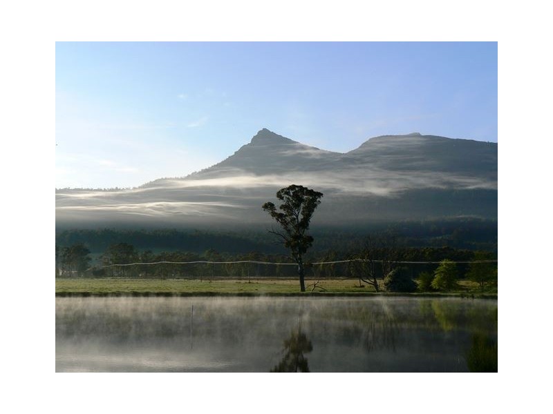 1037 Dairy Plains Road, Western Creek TAS 7304