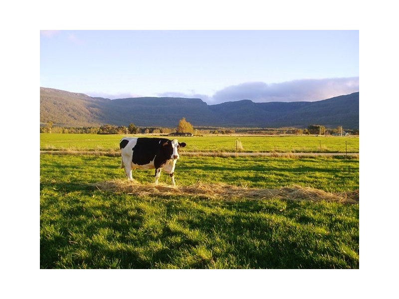 1037 Dairy Plains Road, Western Creek TAS 7304