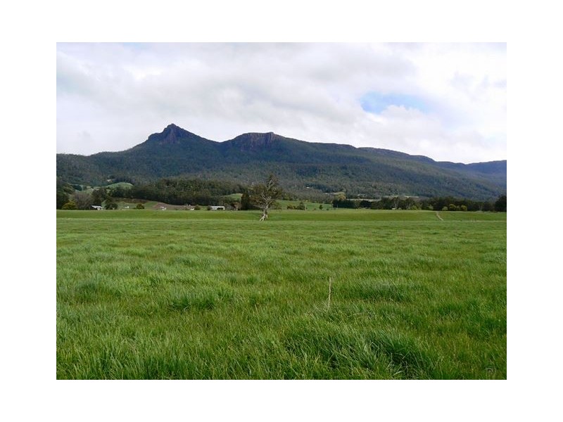 1037 Dairy Plains Road, Western Creek TAS 7304