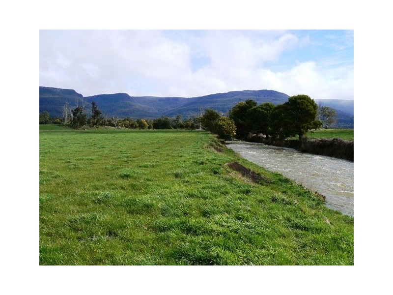 1037 Dairy Plains Road, Western Creek TAS 7304