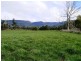 1037 Dairy Plains Road, Western Creek TAS 7304