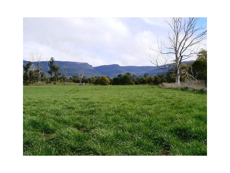 1037 Dairy Plains Road, Western Creek TAS 7304